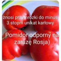Ogrodnik